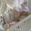 Woman shows off extravagant cot complete with plaster cherubs – & people want to know if she’s the new Paris Fury | The Sun